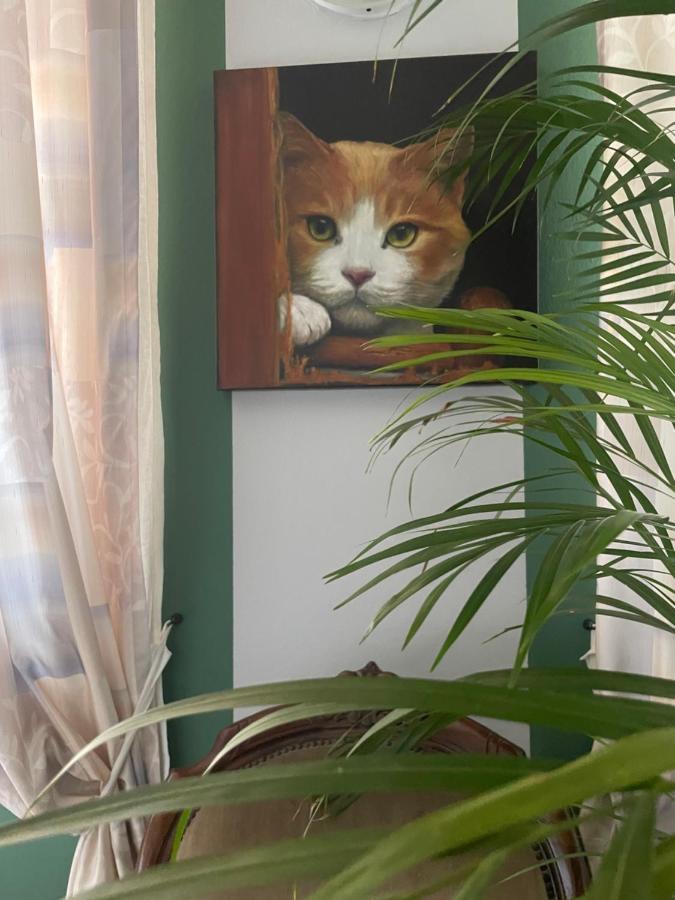 Il Giardino Di Emilia - Intero Appartamento In Villa Con Giardino Privato E Piscina Estiva Pontirolo Nuovo Dış mekan fotoğraf