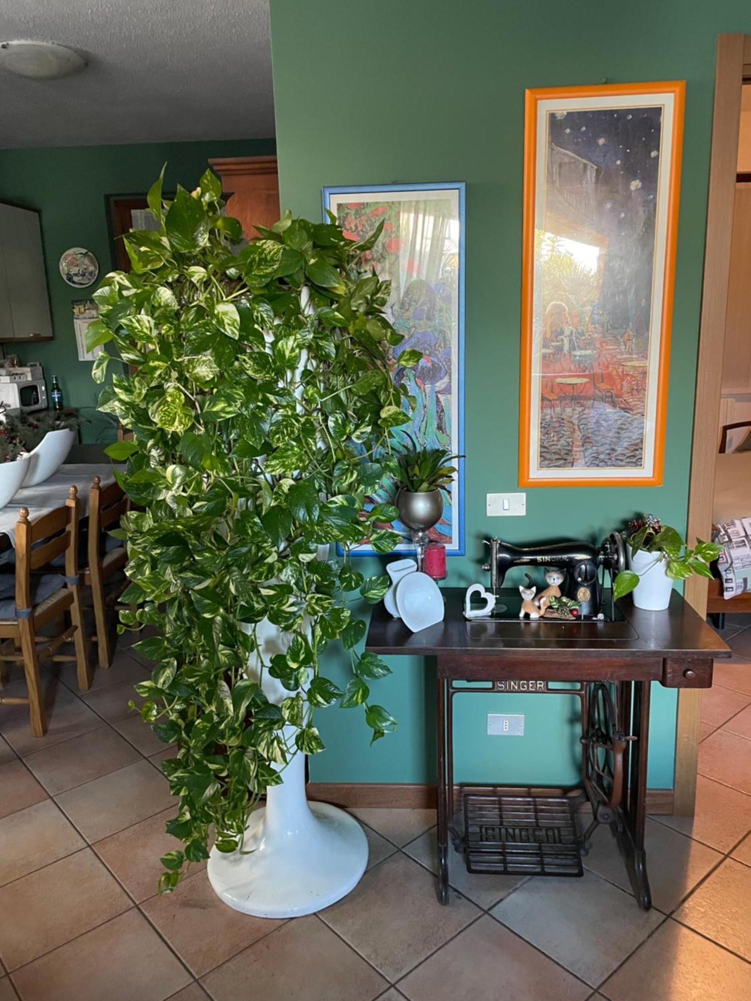 Il Giardino Di Emilia - Intero Appartamento In Villa Con Giardino Privato E Piscina Estiva Pontirolo Nuovo Dış mekan fotoğraf