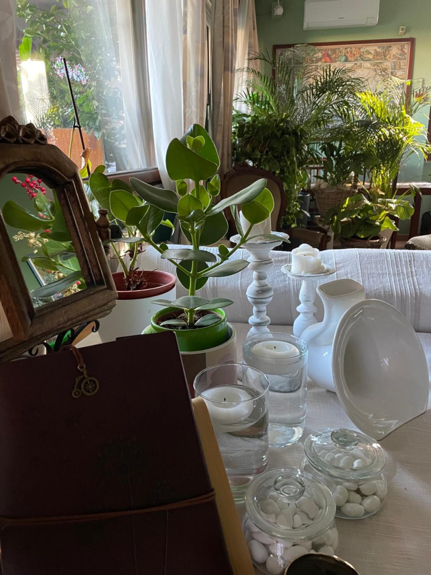 Il Giardino Di Emilia - Intero Appartamento In Villa Con Giardino Privato E Piscina Estiva Pontirolo Nuovo Dış mekan fotoğraf