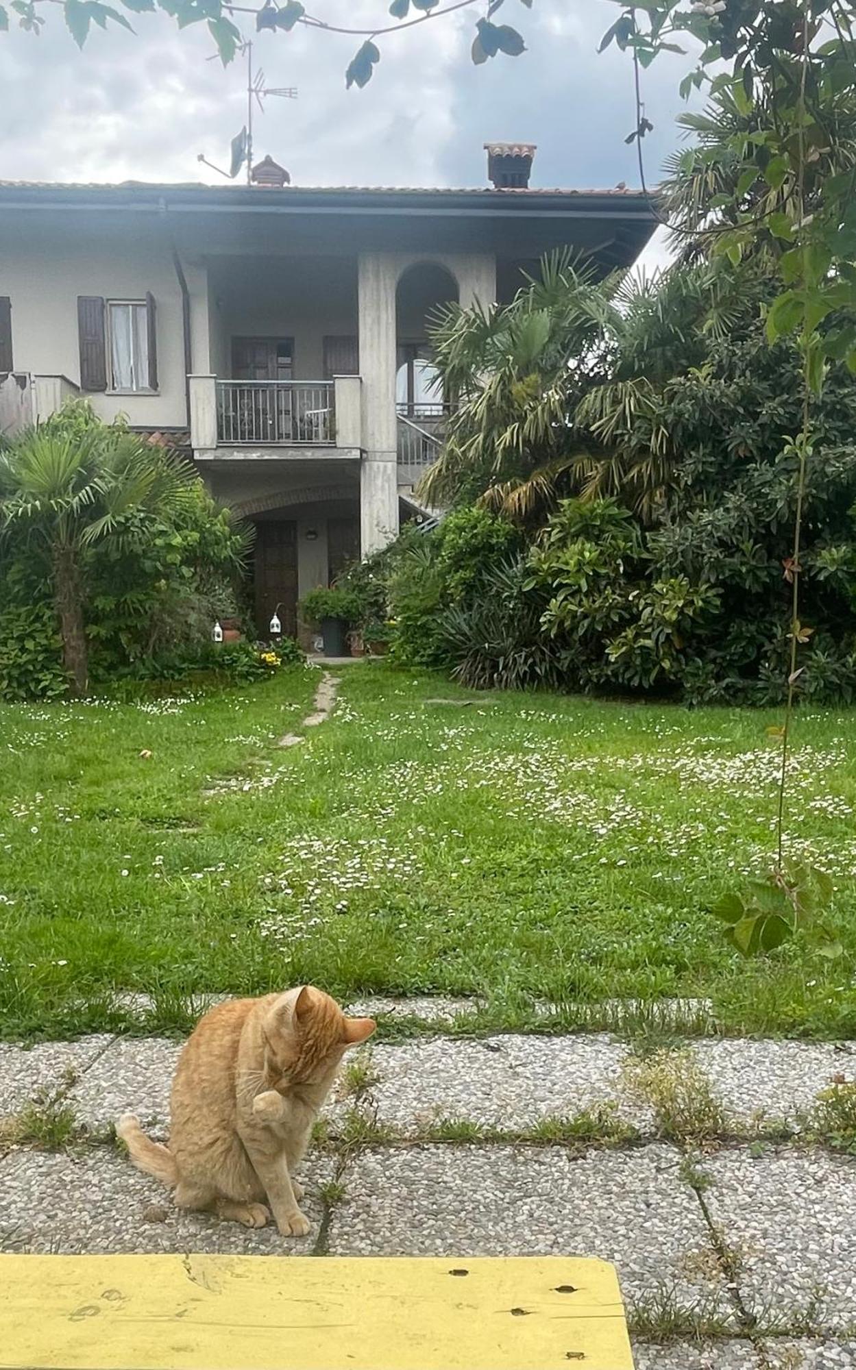 Il Giardino Di Emilia - Intero Appartamento In Villa Con Giardino Privato E Piscina Estiva Pontirolo Nuovo Dış mekan fotoğraf